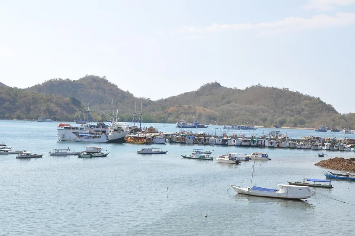 Hotel pick-up (Labuan Bajo)